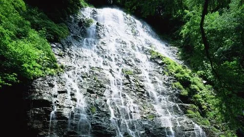 高端智能系统高质量